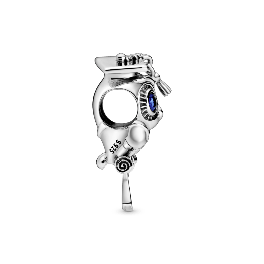 Abschlussperle der Weisen Eule Akademie